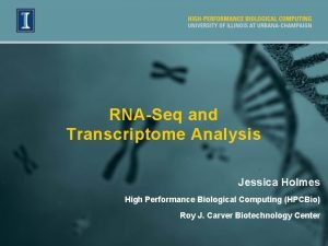 RNASeq and Transcriptome Analysis Jessica Holmes High Performance