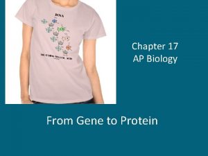 Ap biology chapter 17