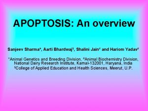 APOPTOSIS An overview Sanjeev Sharma Aarti Bhardwaj Shalini