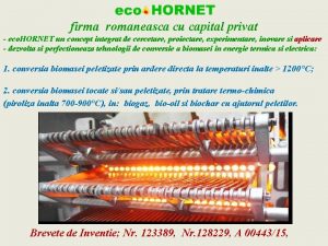 firma romaneasca cu capital privat eco HORNET un