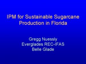 IPM for Sustainable Sugarcane Production in Florida Gregg
