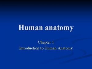 Human anatomy Chapter 1 Introduction to Human Anatomy