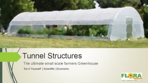 6x15 greenhouse