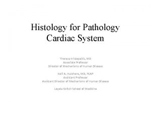 Histology for Pathology Cardiac System Theresa Kristopaitis MD
