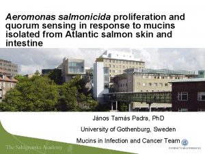 Aeromonas salmonicida proliferation and quorum sensing in response