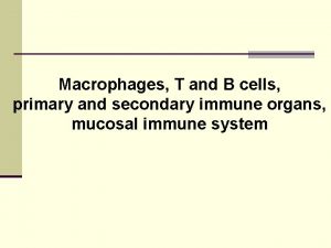 T cell positive and negative selection