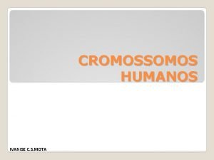 CROMOSSOMOS HUMANOS IVANISE C S MOTA O Ciclo