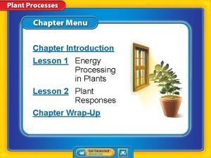 Lesson 19: tropisms and photoperiods