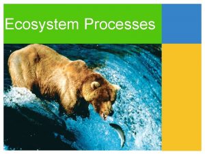 Ecosystem Processes Thinking Question While browsing through the