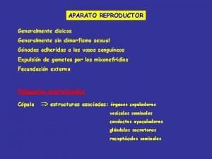 Escisión reproduccion asexual