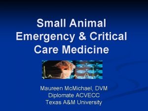 Small Animal Emergency Critical Care Medicine Maureen Mc