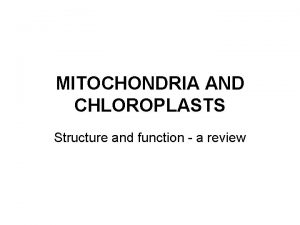 Chloroplast structure and function