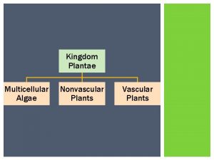 Kingdom Plantae Multicellular Algae Nonvascular Plants Vascular Plants
