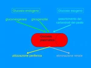Glucosio endogeno gluconeogenesi Glucosio esogeno glicogenolisi assorbimento dei