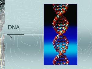 DNA DNA fingerprinting is the analysis of DNA