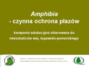 Amphibia czynna ochrona pazw kampania edukacyjna skierowana do