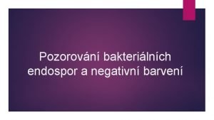 Pozorovn bakterilnch endospor a negativn barven Bakteriln spory