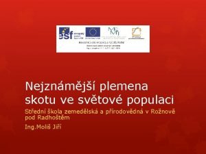 Nejznmj plemena skotu ve svtov populaci Stedn kola