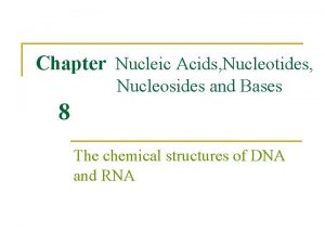 Chapter Nucleic Acids Nucleotides Nucleosides and Bases 8