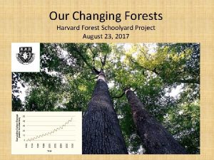 Our changing forest project