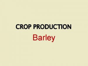 Classification of barley