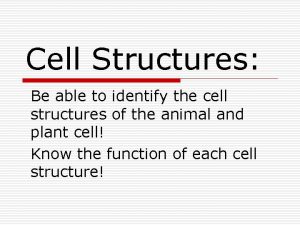 Cell Structures Be able to identify the cell