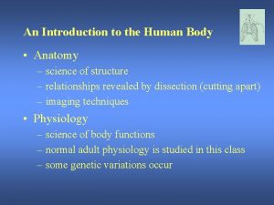 Human anatomy terminology
