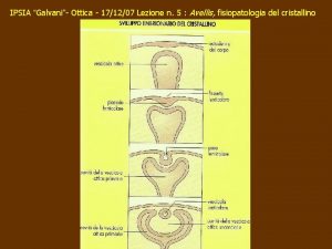 IPSIA Galvani Ottica 171207 Lezione n 5 Avellis