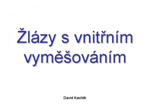 lzy s vnitnm vymovnm David Kachlik lzy s