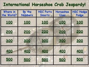 International Horseshoe Crab Jeopardy Where in the World