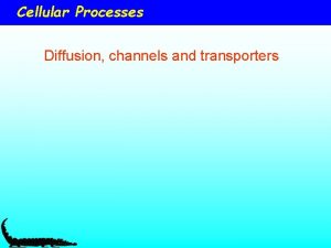 Cellular Processes Diffusion channels and transporters Cellular Membranes