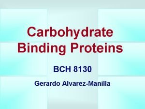 Carbohydrate Binding Proteins BCH 8130 Gerardo AlvarezManilla Carbohydrates