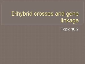 Dihybrid crosses and gene linkage Topic 10 2