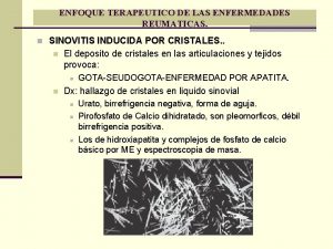 ENFOQUE TERAPEUTICO DE LAS ENFERMEDADES REUMATICAS n SINOVITIS