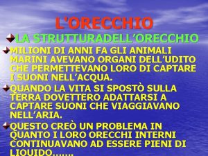 LORECCHIO LA STRUTTURADELLORECCHIO MILIONI DI ANNI FA GLI