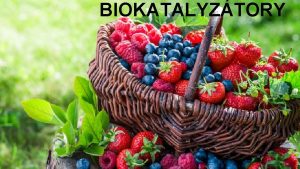 BIOKATALYZTORY Biokatalyztory S ltky ktor ovplyvuj rchlos reakci
