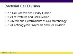 I Bacterial Cell Division 5 1 Cell Growth