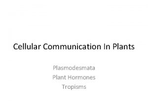 Cellular Communication In Plants Plasmodesmata Plant Hormones Tropisms