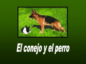 Los dos vecinos Los dos vecinos