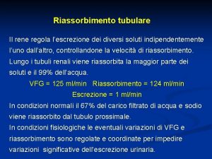 Riassorbimento tubulare Il rene regola lescrezione dei diversi