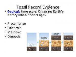 Fossil Record Evidence Geologic time scale Organizes Earths