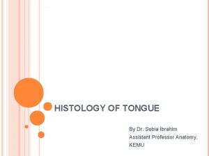 Dorsal surface of tongue histology