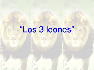 Leones en la selva