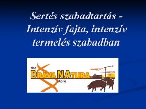 Serts szabadtarts Intenzv fajta intenzv termels szabadban Drva