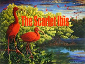 The Scarlet Ibis by Hurst Scarlet Ibis The