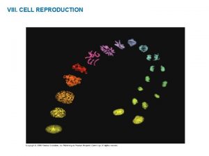 VIII CELL REPRODUCTION VIII CELL REPRODUCTION Overview Why
