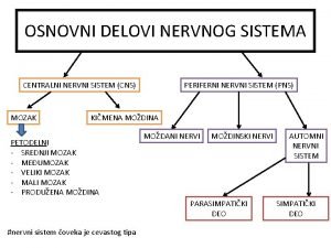 Delovi centralnog nervnog sistema