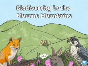 What is Biodiversity Biodiversity is the variety of