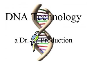 DNA Technology a Dr Production DNA Coiling Replication