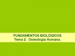 Esqueleto axial Esqueleto axial